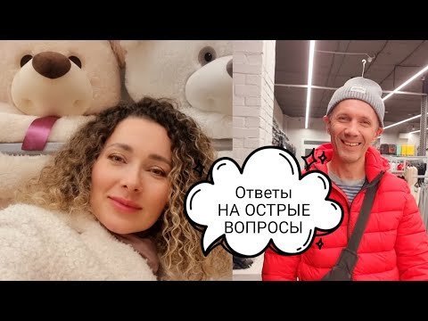 26 ноября 2024