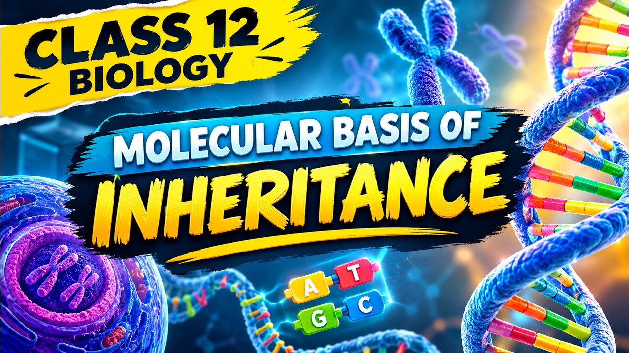 Molecular Basis of Inheritance One Shot | Class 12 Biology Full ...