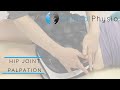 Hip Joint Palpation | Clinical Physio