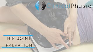 Hip Joint Palpation | Clinical Physio