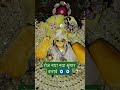 मेरे लड्डू गोपाल का नया नया श्रृंगार 🧿🧿 #youtube #youtubeshorts #youtube #shortvideo #shorts #short