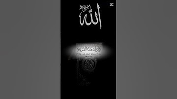 #يارب #القرآن_الكريم #قرآن_كريم #قرآن #استغفرالله #تلاوة_خاشعة #سبحان_الله #الله #يارب #اكسبلور