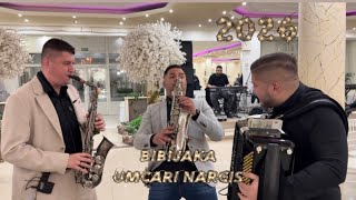 BIBIJAKA 2026 UMCARI / SPLET KOLA / ORK. BRACE PETROVIC / SAJA / BOBAN BURIC / MILAN STRASNI