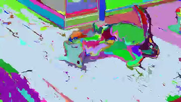 Segmented Cat 2 (THERE IS A LOT OF FLASHING IN THIS VIDEO)