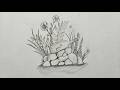 Pencil drawing of message in glass bottle sitting on rocks surrounded by wild ferns