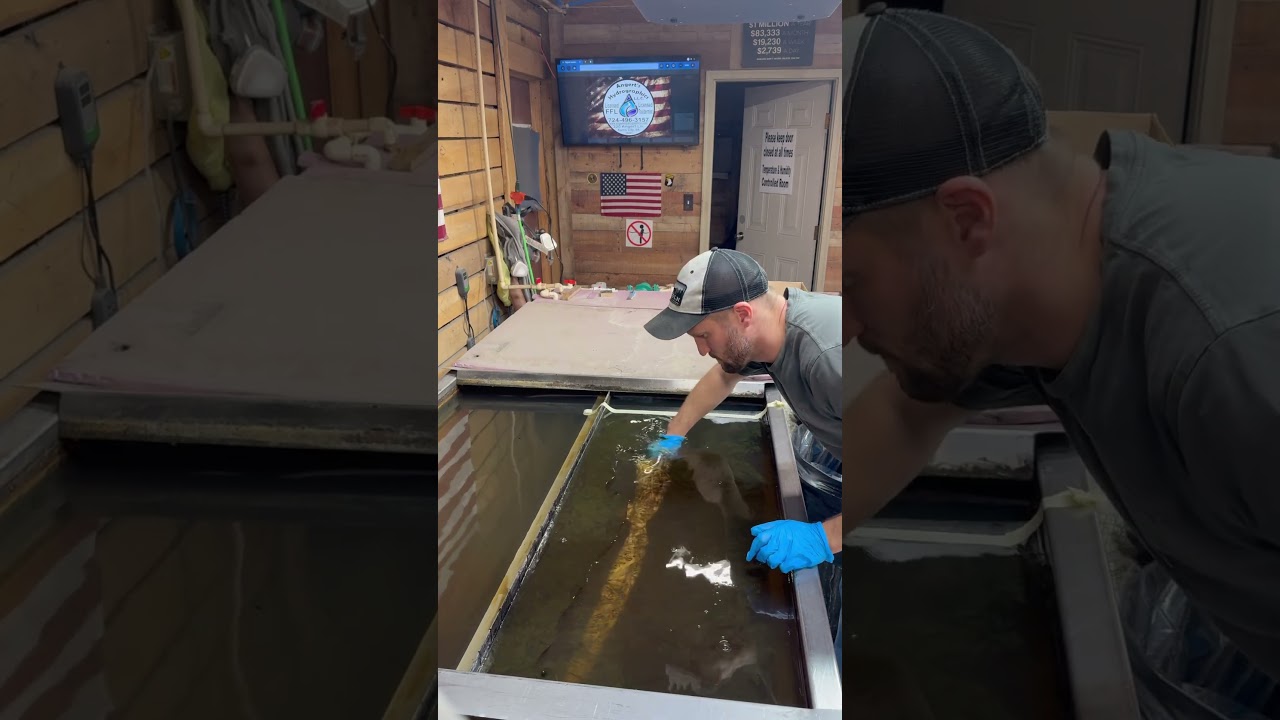 Hydro dipping gun stocks daily here at Angert’s Hydrographics 