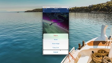 94 Alert View and Action Sheet Demo