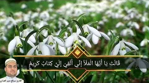 قالت ياأيها الملأ إني القي الي كتاب كريم...مقطع من سورة النمل..