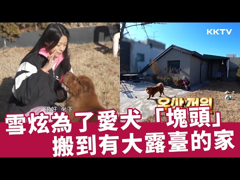《我獨自生活》雪炫為了愛犬「塊頭」搬到有大露臺的家 - EP533 精彩片段｜KKTV 線上看