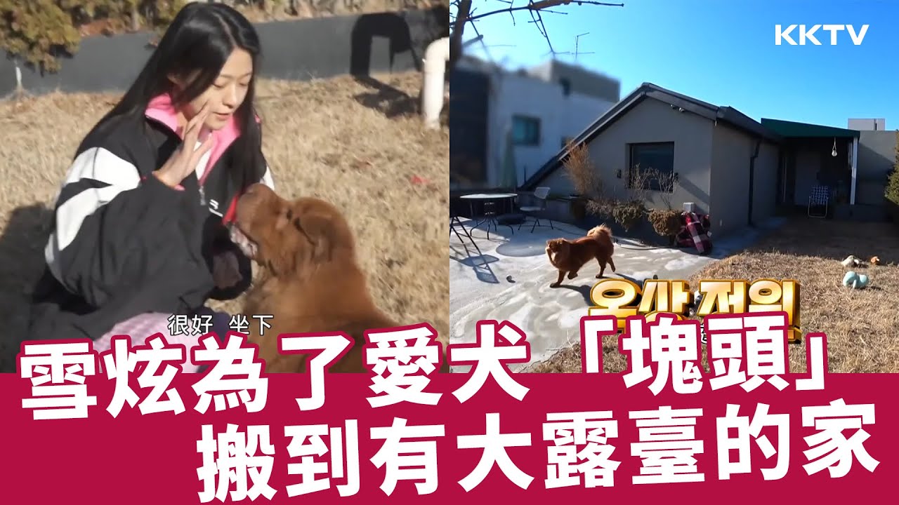 《我獨自生活》雪炫為了愛犬「塊頭」搬到有大露臺的家 - EP533 精彩片段｜KKTV 線上看