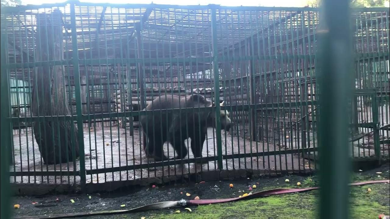 Парк лесоводов в уфе Парк лесоводов в уфе