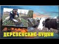 ДЕРЕВЕНСКИЕ БУДНИ  Выпустили коров  Посадили клубнику  Выгрузил прицеп / Семья в деревне