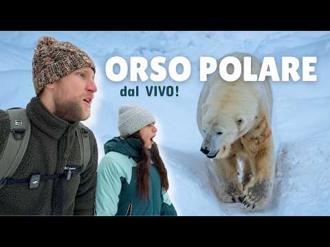 WE CAN'T BELIEVE OUR EYES 😳 Close encounter with the POLAR BEAR! [Ep. 5]