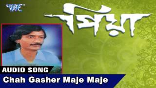 Video thumbnail of "Chah Gasher Maje Maje || LATEST Assamese Song 2017 ||Shivcharan Das || Piya"