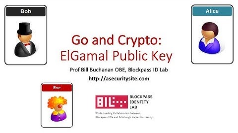 Go and Crypto: ElGamal Public Key Encryption