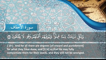 الشيخ محمود هاشم - سورة الاحقاف