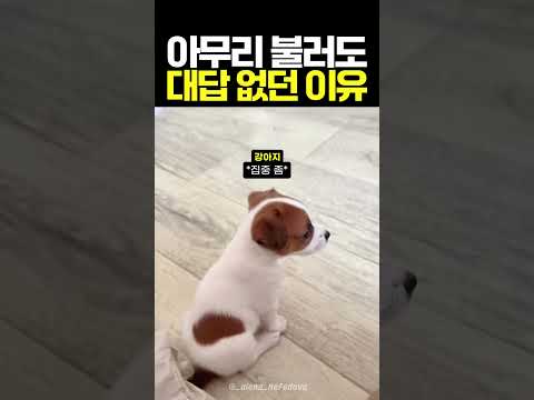 아무리 불러도 대답 없던 이유 thumbnail