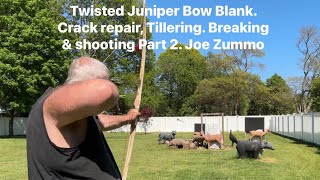 Twisted Juniper Bow Blank. Crack repair, Tillering. Breaking & shooting Part 2. Joe Zummo