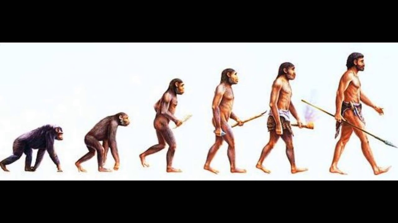 Эволюция первобытного. Человек разумный homo sapiens. Хомо сапиенс сапиенс. Хомо сапиенс Эволюция. Этапы эволюции хомо сапиенс.