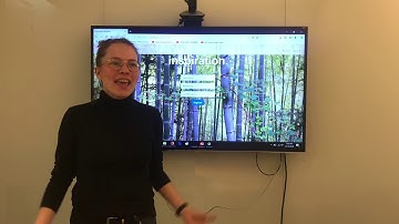 Irina Penzina cs50 2018