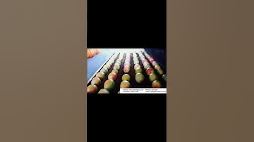 Mango cleaning, sorting and packaging machine #Multifunctional fruit sorting  #Roller conveyor line
