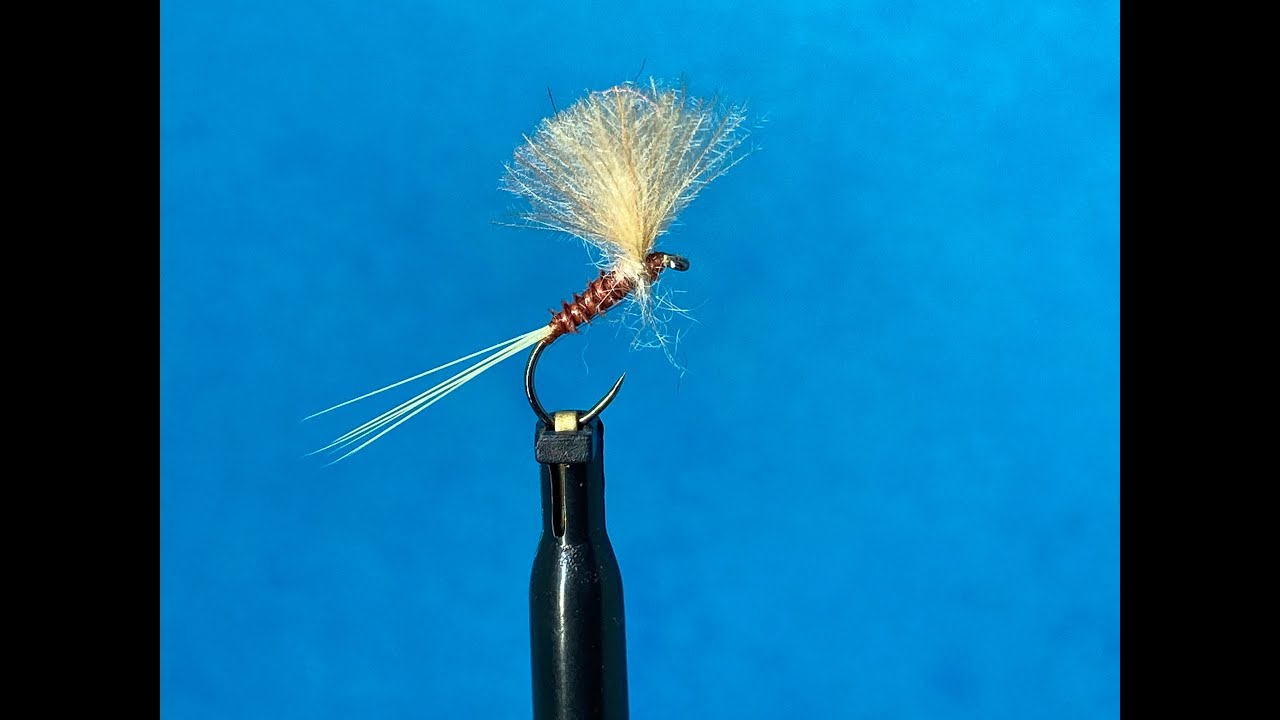 Montage d'une Baetis Rhodani
