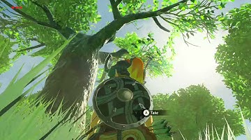 [DAY 56] of finding one korok seed everyday until Botw2 comes out