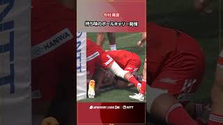 神戸S 今村 陽良選手のボールキャリー!最後はボールを押し込みトライ#NTTリーグワン #リーグワン