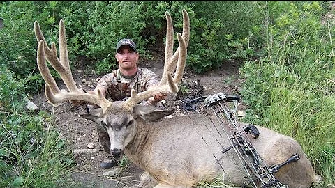 World Record Archery Mule Deer - Chad Kulow - MossBack