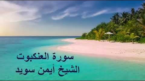سورة العنكبوت الشيخ أيمن سويد