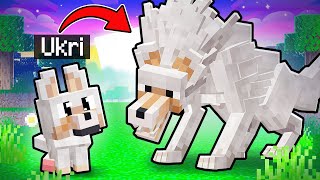 Vom BABY zum ALPHA WOLF in Minecraft!