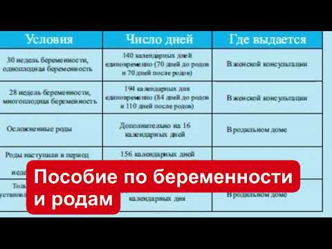 Пособие по беременности