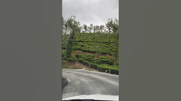 A Mesmerising drive❤️ #wayanad #dewala #drive #drizzlingrain #minivlog