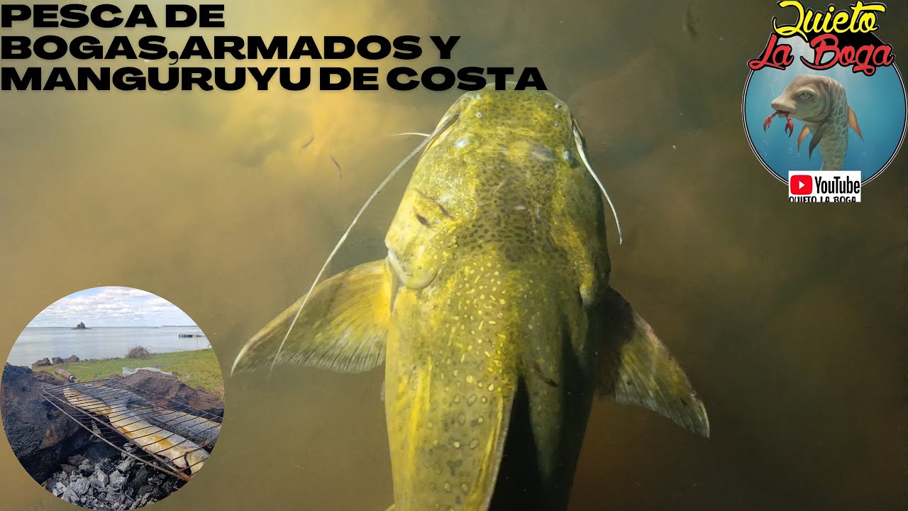 Pesca de costa manguruyu bogas y armados 