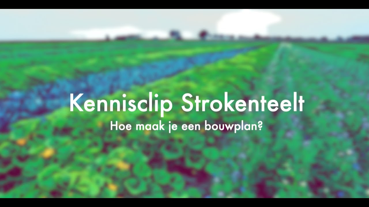 Kennisclip strokenteelt : hoe maak je een bouwplan? - YouTube