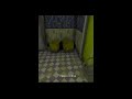 VORTEX VIPER GRANNY 5 MODE HORROR GAME LIVE