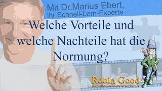 Welche Vorteile und welche Nachteile hat die Normung?