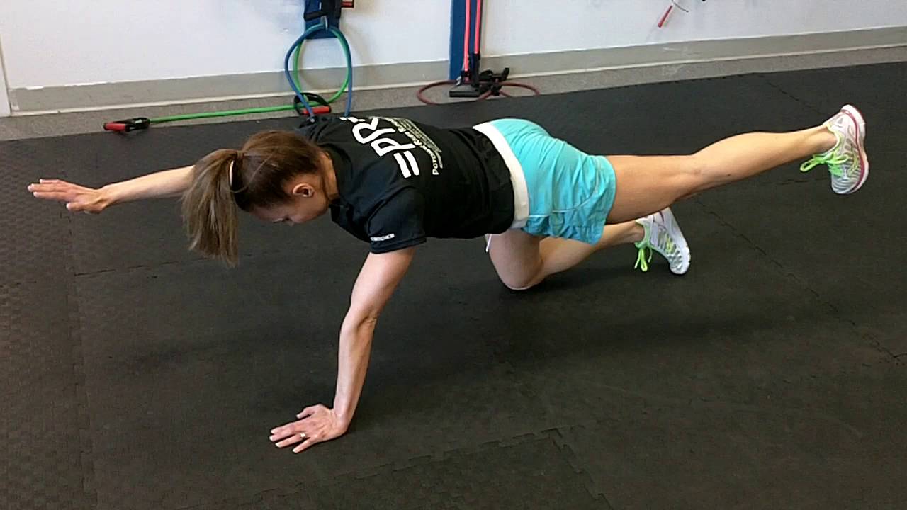 Bird Dog Hold YouTube