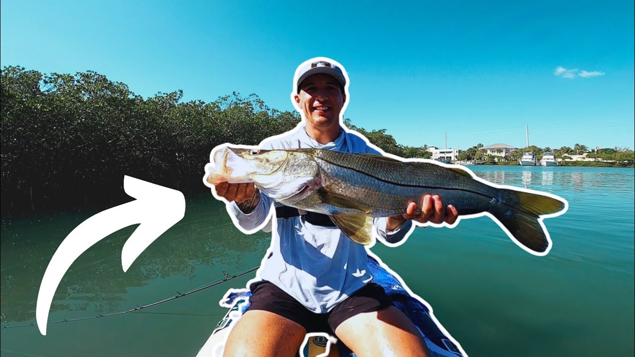 MONSTER SNOOK ON ISUP! 