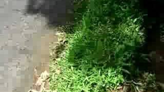 Preparing For Oottam