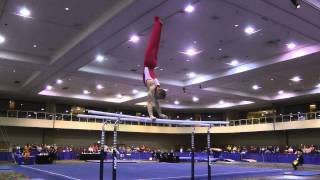 Danny Berardini -  Parallel Bars  - 2014 Winter Cup Prelims