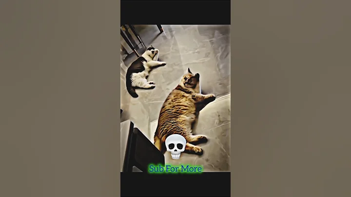 Wait for end 💀 #shorts #trollface #edit #troll