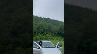 Ferdi Tayfur Şifa Şifa Fiat Albea Etiket