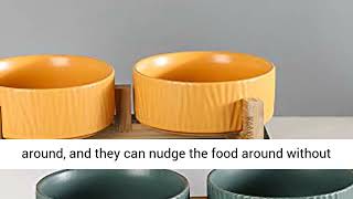 Ceramic Cat Dog Bowl Dish