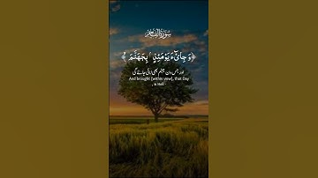 #سورة_الفجر #القرآن_الكريم #المصحف #حالات_واتس #راحة_نفسية