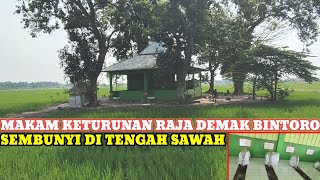 Makam keturunan Raja Mataram Islam Raden Patah Demak Bintoro sembunyi di Tengah Sawah