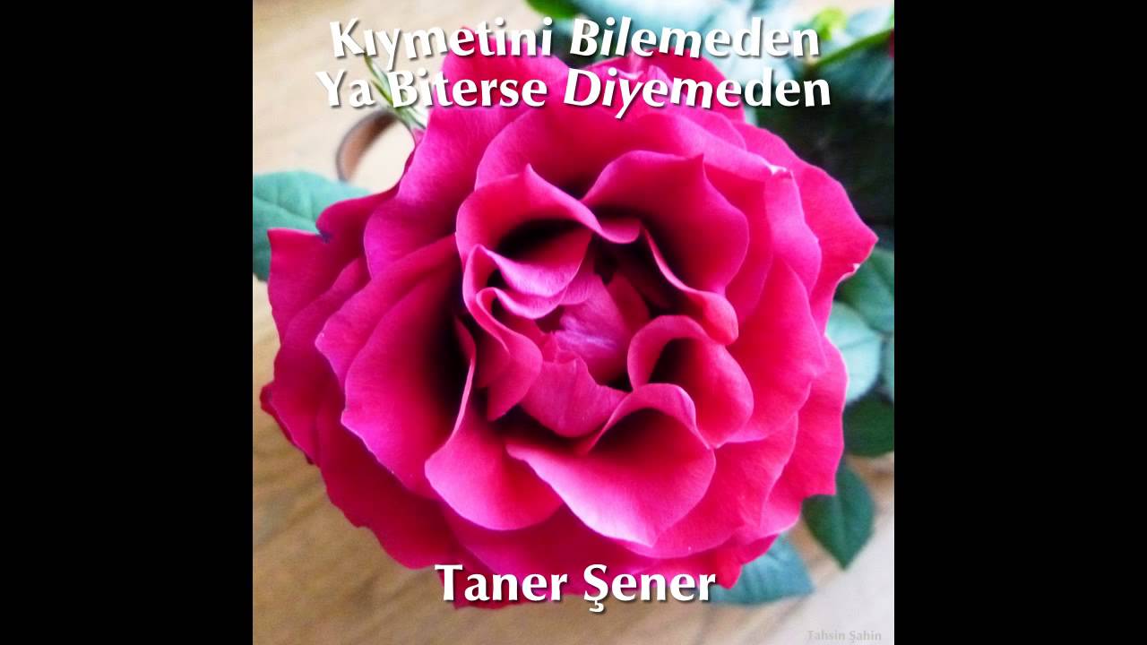 Kıymetini Bilemeden, Ya Biterse Diyemeden - Taner Şener - YouTube