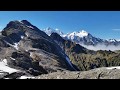 Red Stag, Tahr and Chamois!