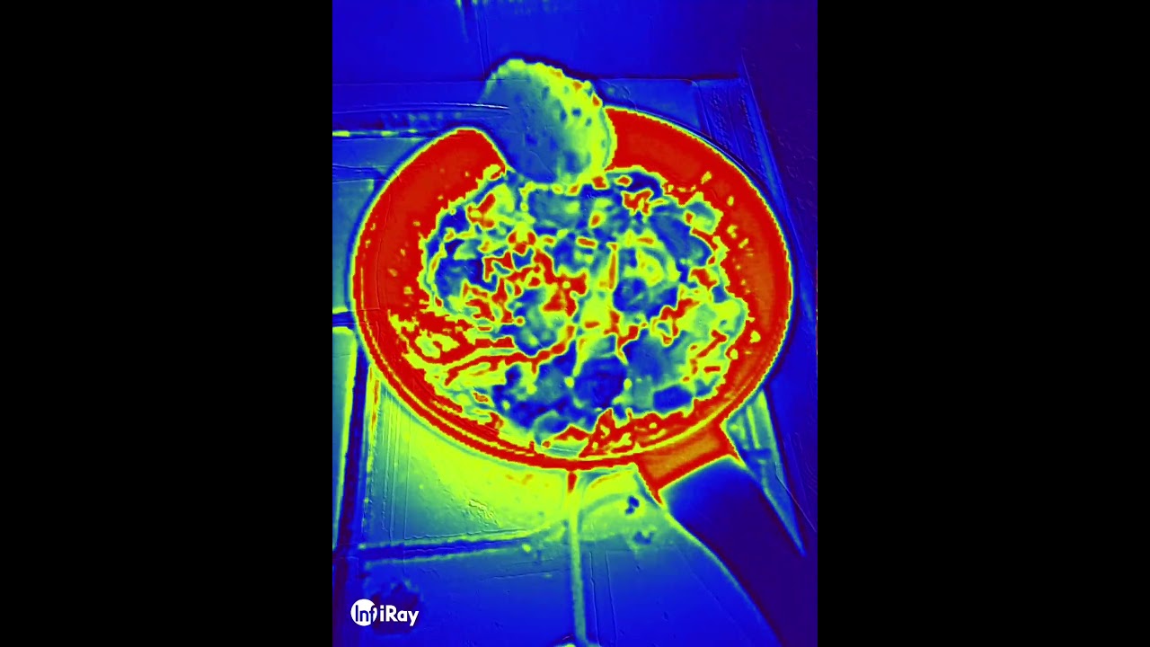 food in thermal imaging