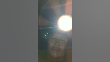 Cá vược Siêu khủng 20kg // Kích Cá Nước Mặn 0985802199